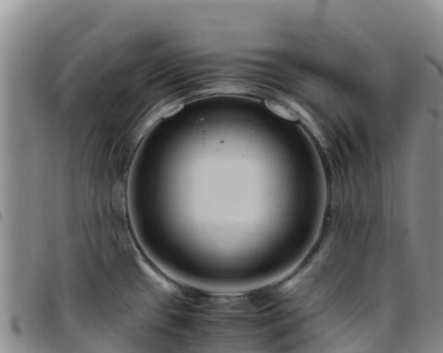 X0000096461433200801311502