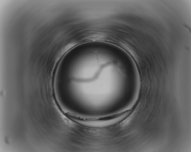 X0000096461434200801311502
