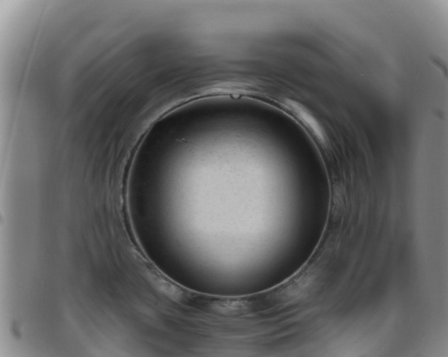 X0000096461435200801311502