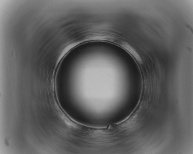 X0000096461436200801311502