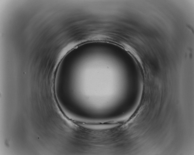 X0000096461437200801311502