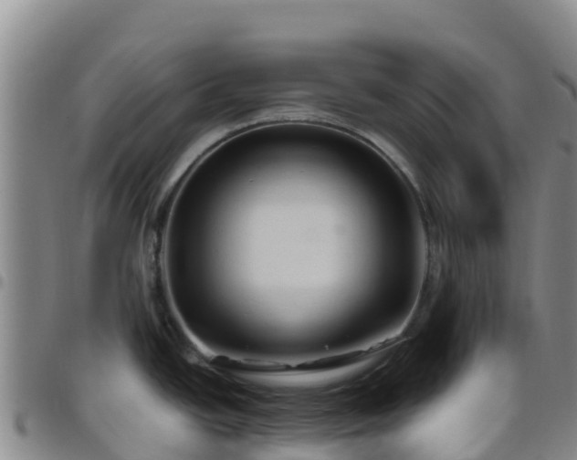 X0000096461438200801311502