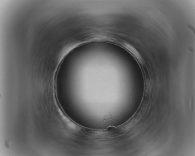 X0000096461439200801311502