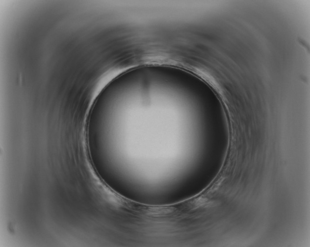 X0000096461440200801311502