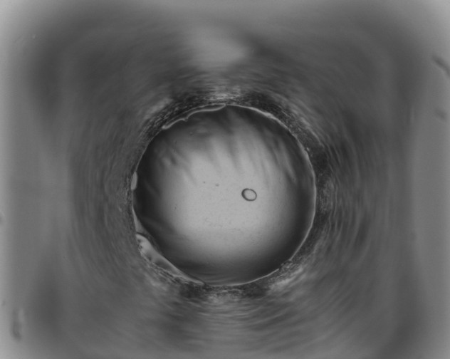 X0000096461441200801311502