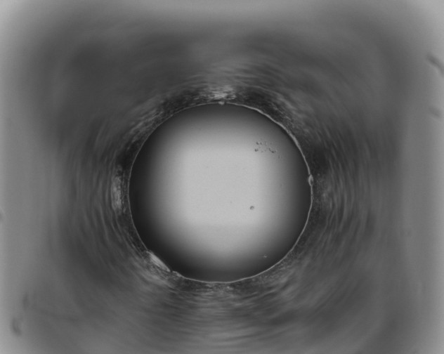 X0000096461442200801311502