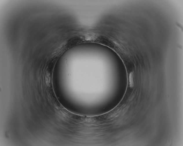 X0000096461443200801311502