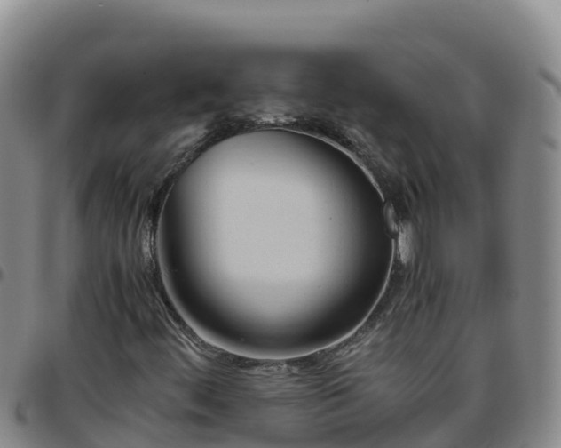 X0000096461444200801311502