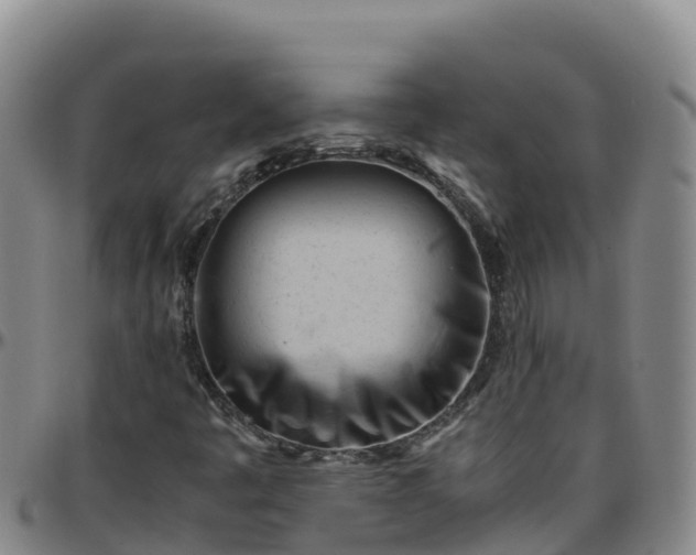 X0000096461445200801311502