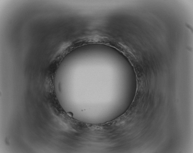 X0000096461446200801311502