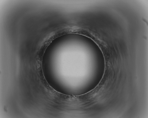 X0000096461447200801311502