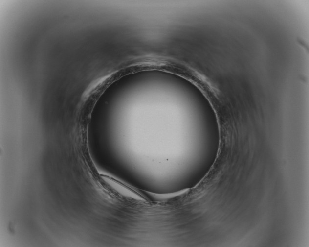 X0000096461448200801311502