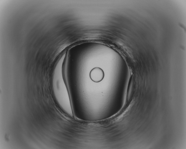 X0000096461449200801311502
