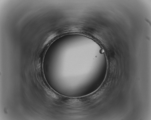 X0000096461450200801311502
