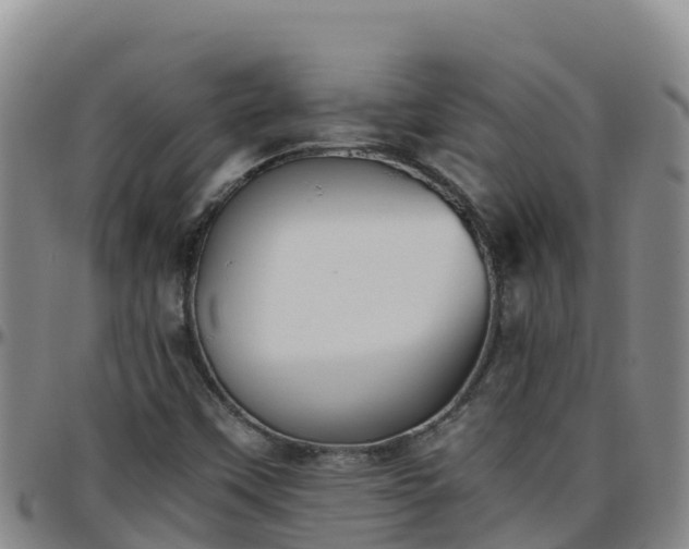 X0000096461451200801311502