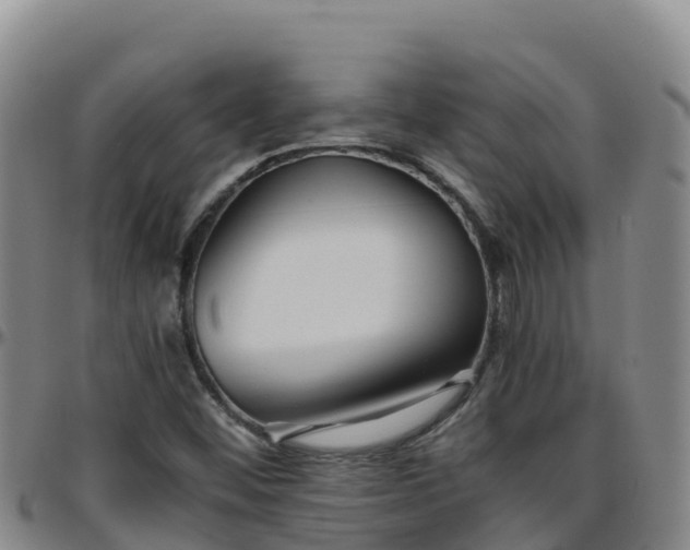 X0000096461452200801311502