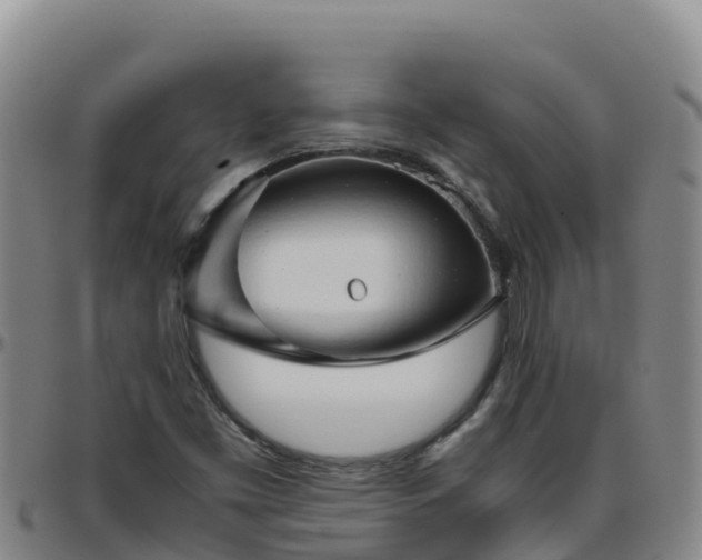 X0000096461453200801311502