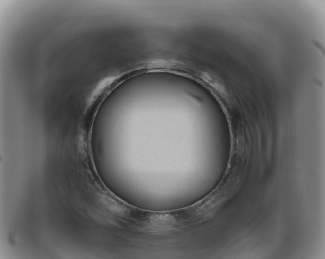 X0000096461454200801311502