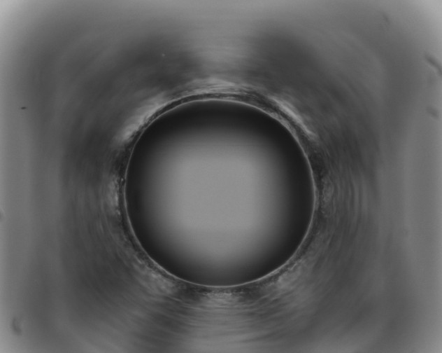 X0000096461455200801311502