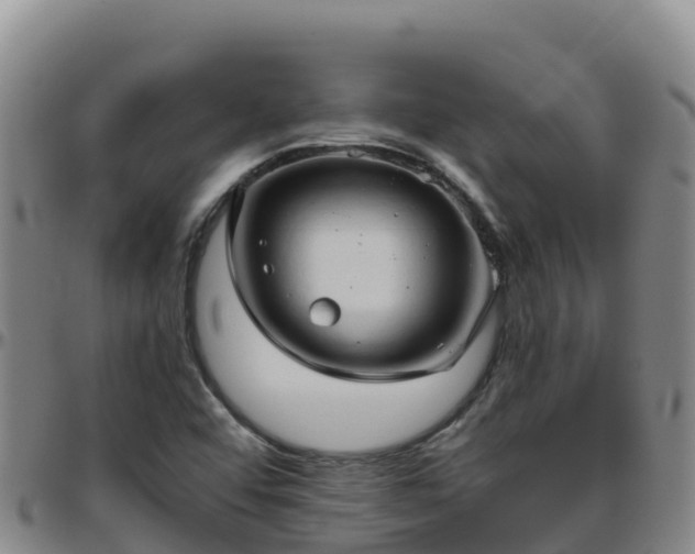X0000096461456200801311502
