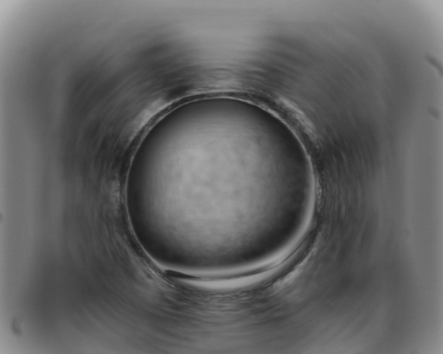 X0000096461457200801311502