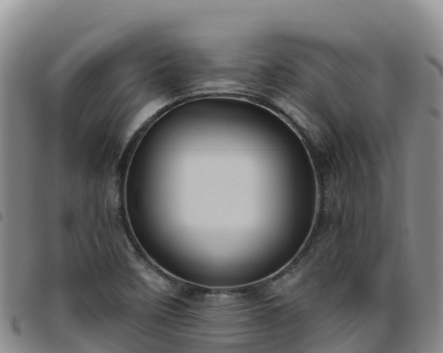 X0000096461458200801311502