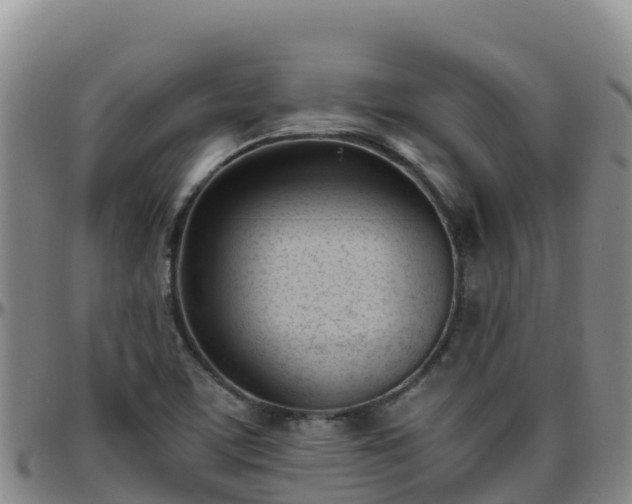 X0000096461459200801311502