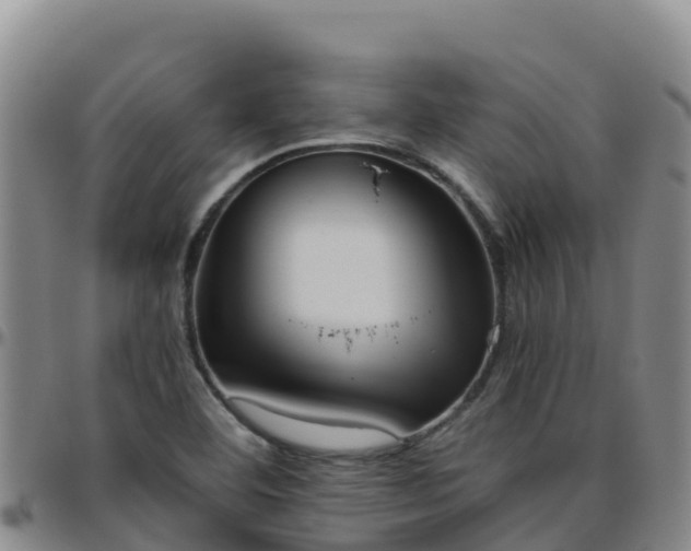 X0000096461460200801311502