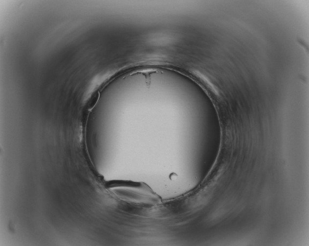 X0000096461461200801311502