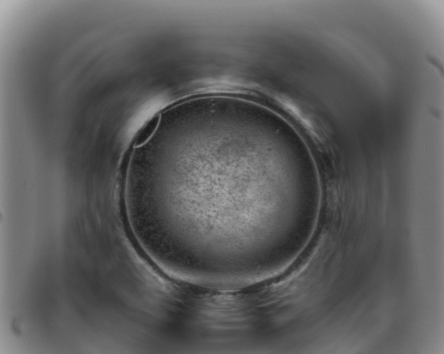 X0000096461463200801311502