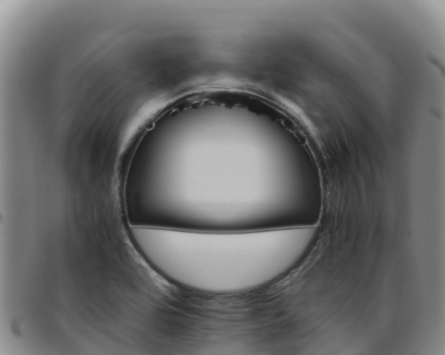 X0000096461464200801311501