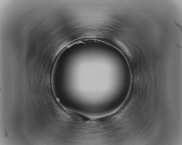 X0000096461465200801311501