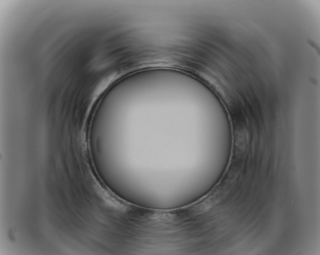 X0000096461466200801311501