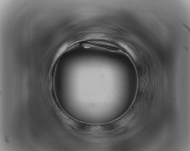 X0000096461467200801311501