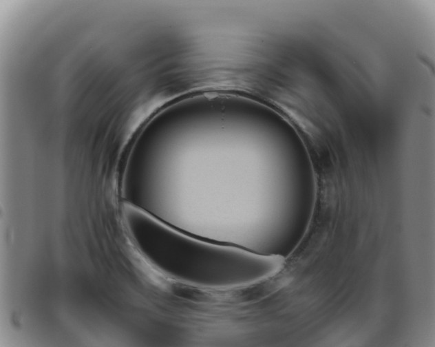 X0000096461468200801311501