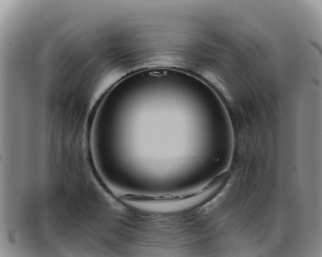 X0000096461469200801311501