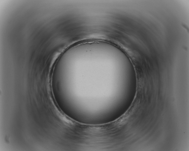 X0000096461470200801311501