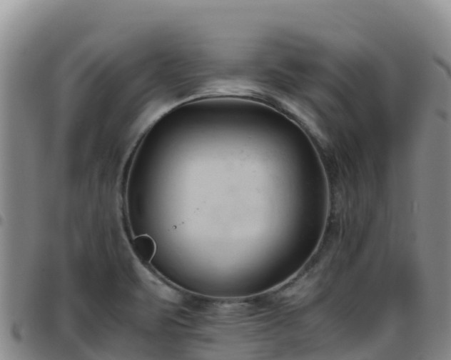 X0000096461471200801311501