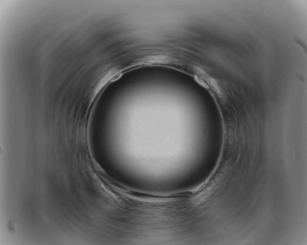 X0000096461473200801311501
