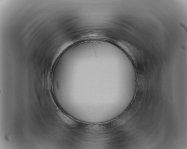X0000096461474200801311501