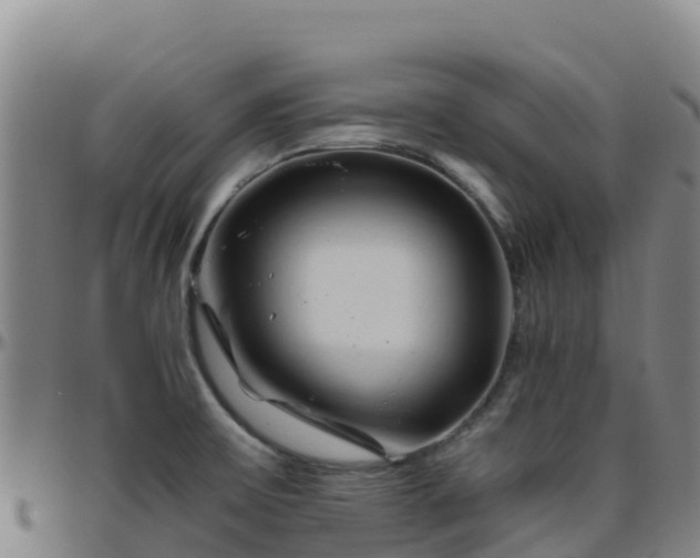 X0000096461475200801311501