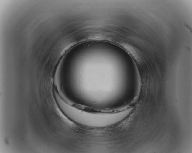 X0000096461476200801311501