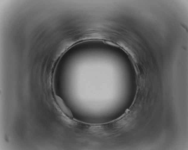X0000096461477200801311501