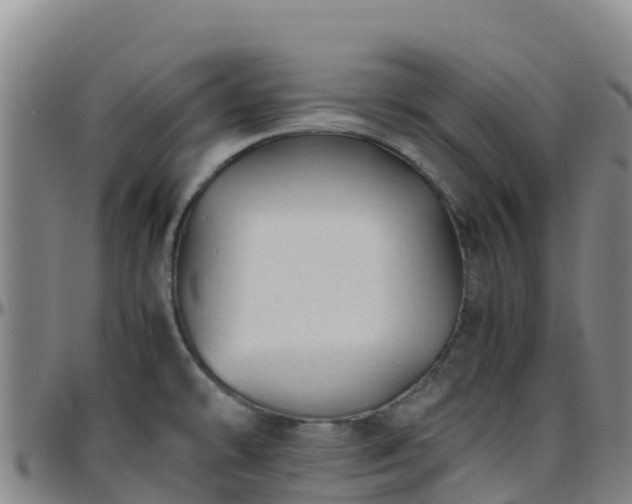 X0000096461478200801311501