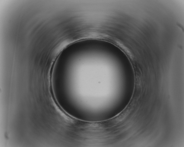 X0000096461479200801311501