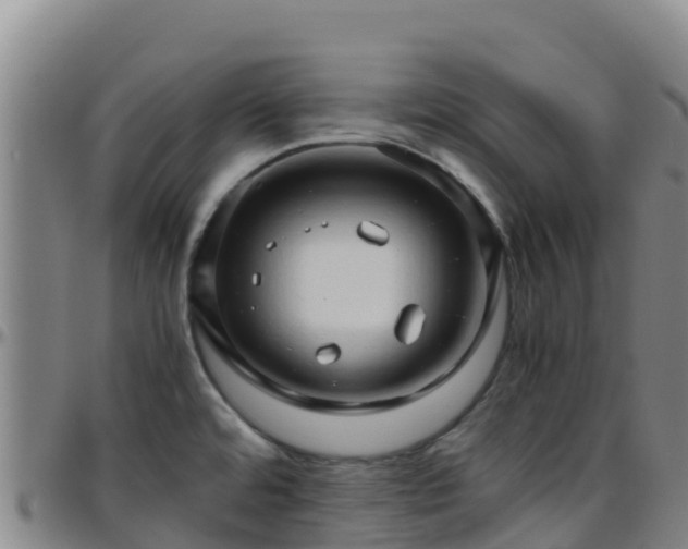 X0000096461480200801311501
