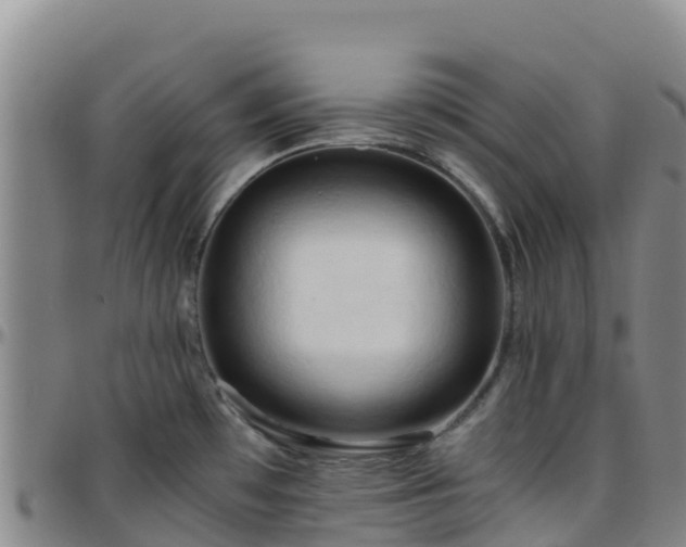 X0000096461481200801311501
