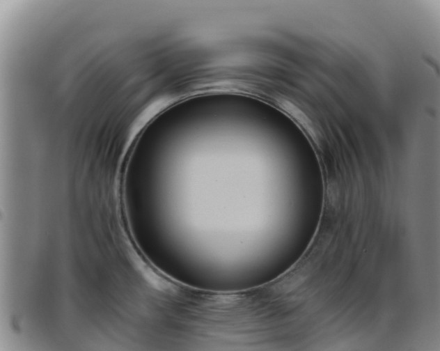 X0000096461482200801311501