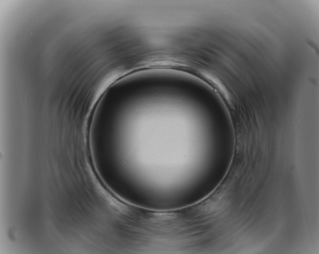 X0000096461483200801311501