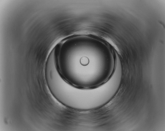 X0000096461484200801311501